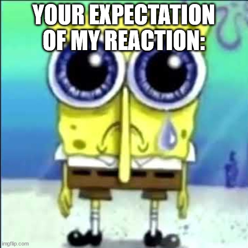 Sad Spongebob | YOUR EXPECTATION OF MY REACTION: | image tagged in sad spongebob | made w/ Imgflip meme maker