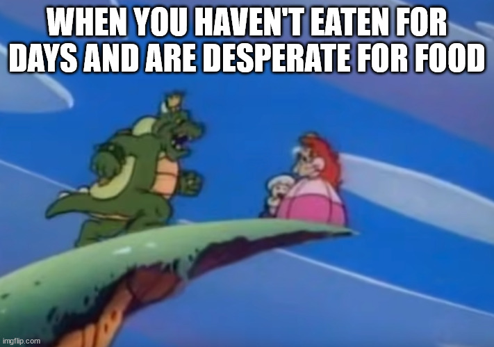 King Koopa screenshot | WHEN YOU HAVEN'T EATEN FOR DAYS AND ARE DESPERATE FOR FOOD | image tagged in king koopa screenshot | made w/ Imgflip meme maker