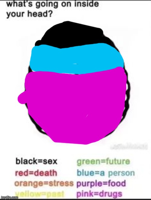 it's purple not pink | image tagged in what's going on inside your head | made w/ Imgflip meme maker