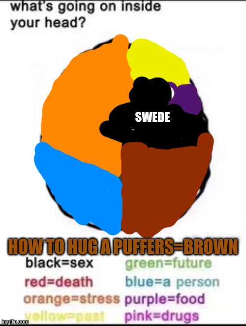 What's going on inside your head? | SWEDE; HOW TO HUG A PUFFERS=BROWN | image tagged in what's going on inside your head | made w/ Imgflip meme maker