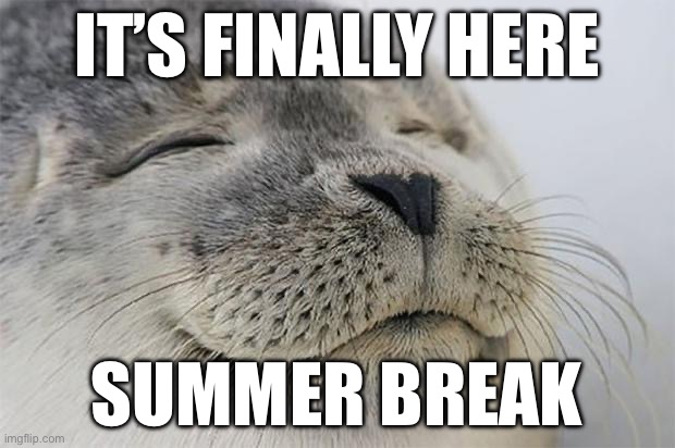 Satisfied Seal | IT’S FINALLY HERE; SUMMER BREAK | image tagged in memes,satisfied seal | made w/ Imgflip meme maker