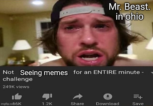 Not _____ for an ENTIRE minute - challenge | Mr. Beast. in ohio; Seeing memes | image tagged in not _____ for an entire minute - challenge | made w/ Imgflip meme maker