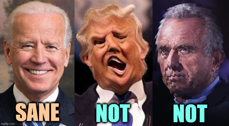 The first quality you want in a President is sanity. | SANE; NOT; NOT | image tagged in biden solid stable trump acid drugs,biden,sanity,trump,rfk jr,insane | made w/ Imgflip meme maker