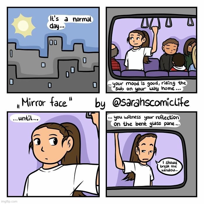 Mirror Face | image tagged in comics,memes,funny,mirror face,inverted | made w/ Imgflip meme maker