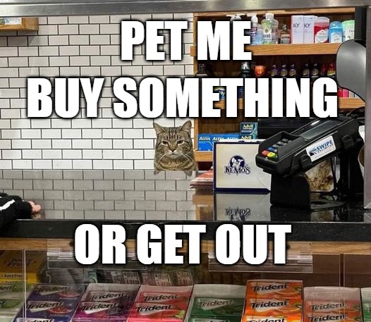 PET ME; BUY SOMETHING; OR GET OUT | image tagged in meme,memes,cat,cats,funny | made w/ Imgflip meme maker