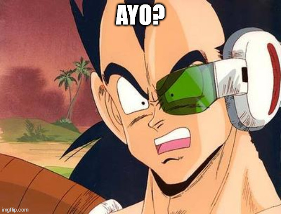 raditz wtf | AYO? | image tagged in raditz wtf | made w/ Imgflip meme maker