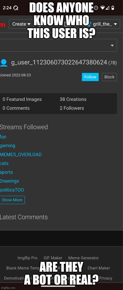 Can anyone tell me? | DOES ANYONE KNOW WHO THIS USER IS? ARE THEY A BOT OR REAL? | image tagged in bot | made w/ Imgflip meme maker