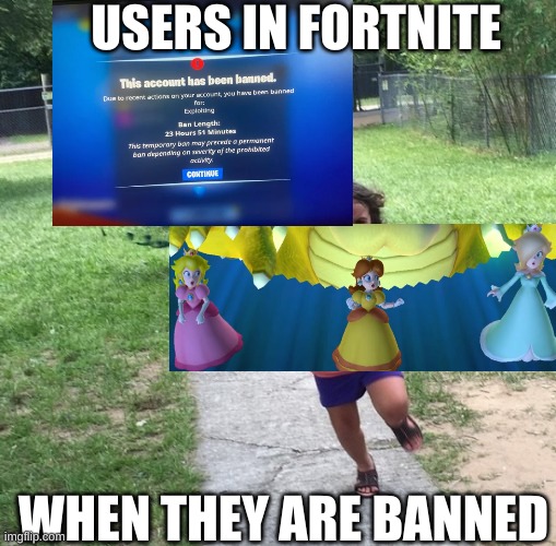 Fortnite bans be like | USERS IN FORTNITE; WHEN THEY ARE BANNED | image tagged in peacock chasing girl | made w/ Imgflip meme maker