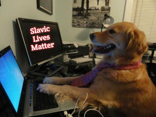 Dog behind a computer | Slavic Lives Matter | image tagged in dog behind a computer,slavic | made w/ Imgflip meme maker