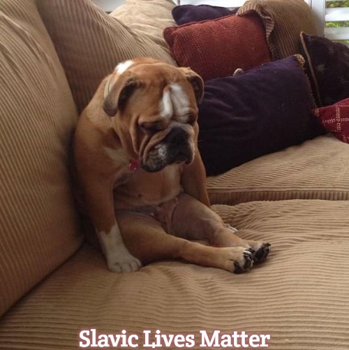 bulldogsad | Slavic Lives Matter | image tagged in bulldogsad,slavic | made w/ Imgflip meme maker