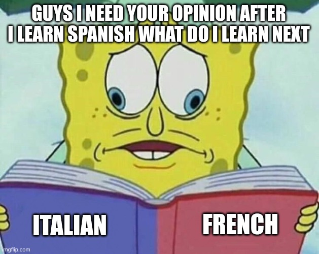 What's next | GUYS I NEED YOUR OPINION AFTER I LEARN SPANISH WHAT DO I LEARN NEXT; FRENCH; ITALIAN | image tagged in cross eyed spongebob,language,french,italian | made w/ Imgflip meme maker