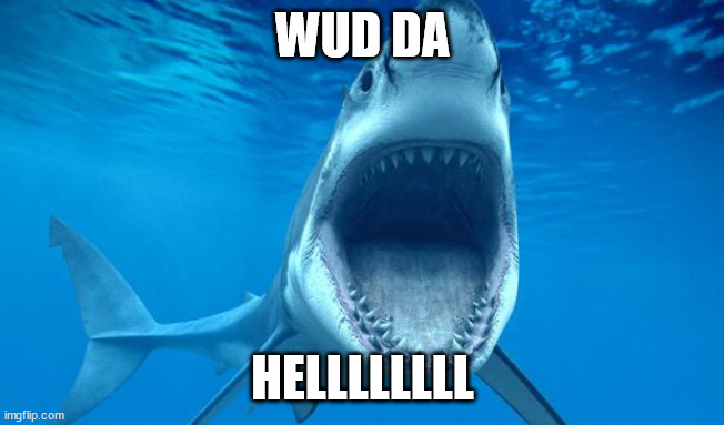 shark open mouth | WUD DA HELLLLLLLL | image tagged in shark open mouth | made w/ Imgflip meme maker