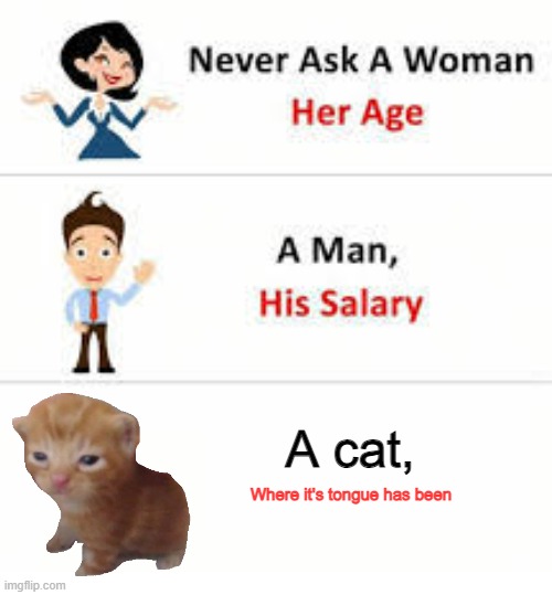 Never ask a woman her age | A cat, Where it's tongue has been | image tagged in never ask a woman her age | made w/ Imgflip meme maker