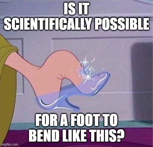 Realism in Cinderella | IS IT SCIENTIFICALLY POSSIBLE; FOR A FOOT TO
BEND LIKE THIS? | image tagged in cinderella shoe,foot bending,disney,glass slipper,realism,plausibility | made w/ Imgflip meme maker