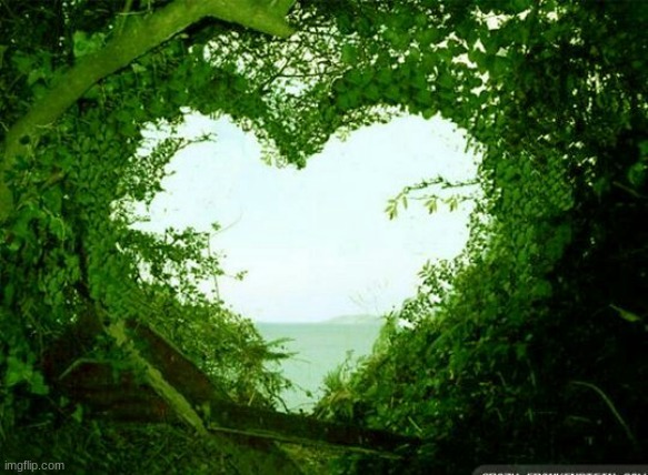 nature heart | image tagged in nature heart | made w/ Imgflip meme maker