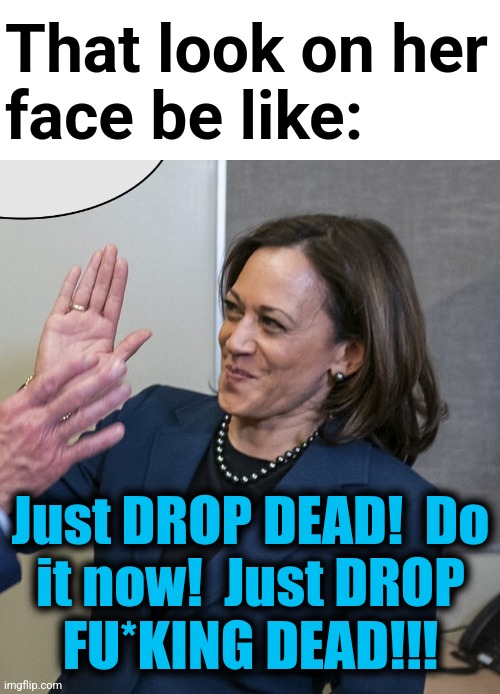 That look on her
face be like: Just DROP DEAD!  Do
it now!  Just DROP
FU*KING DEAD!!! | made w/ Imgflip meme maker