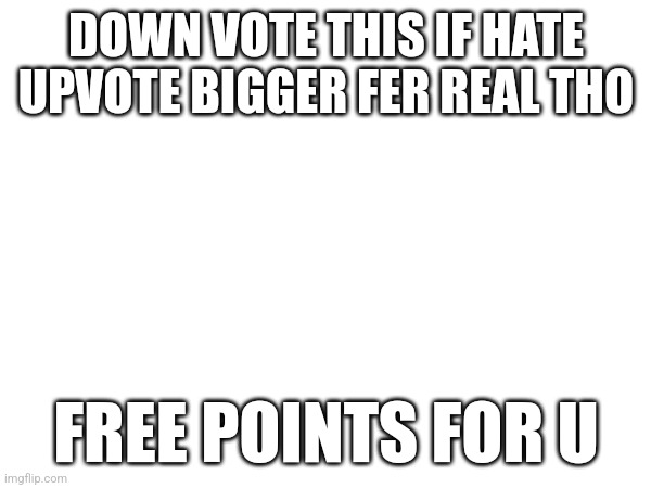 Frl bro | DOWN VOTE THIS IF HATE UPVOTE BIGGER FER REAL THO; FREE POINTS FOR U | image tagged in frlbro | made w/ Imgflip meme maker
