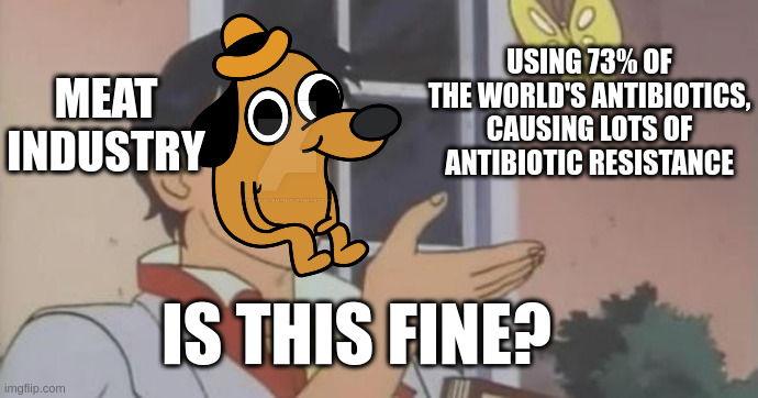 This is totally fine (and totally won't cause a lot of issues) | USING 73% OF THE WORLD'S ANTIBIOTICS, CAUSING LOTS OF ANTIBIOTIC RESISTANCE; MEAT INDUSTRY; IS THIS FINE? | image tagged in is this a pigeon,disease,meat,capitalism,consumerism,this is fine | made w/ Imgflip meme maker