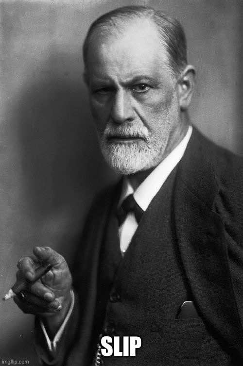 Sigmund Freud Meme | SLIP | image tagged in memes,sigmund freud | made w/ Imgflip meme maker