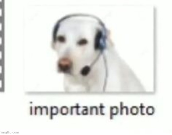 important photo | made w/ Imgflip meme maker