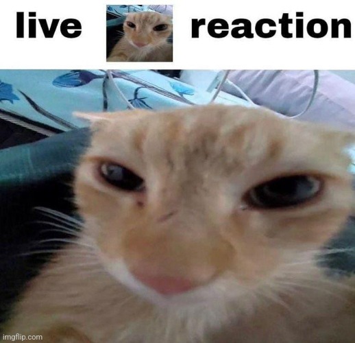 Damn. | made w/ Imgflip meme maker