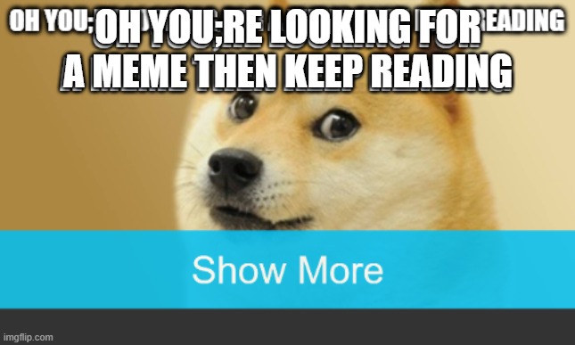 OH YOU;RE LOOKING FOR A MEME THEN KEEP READING | made w/ Imgflip meme maker