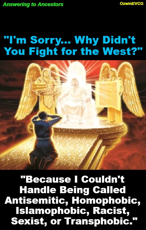 Answering to Ancestors | Answering to Ancestors; OzwinEVCG; "I'm Sorry... Why Didn't  

You Fight for the West?"; "Because I Couldn't 

Handle Being Called 

Antisemitic, Homophobic, 

Islamophobic, Racist, 

Sexist, or Transphobic." | image tagged in god,judgment,man,ancestry,clown world,mean names | made w/ Imgflip meme maker