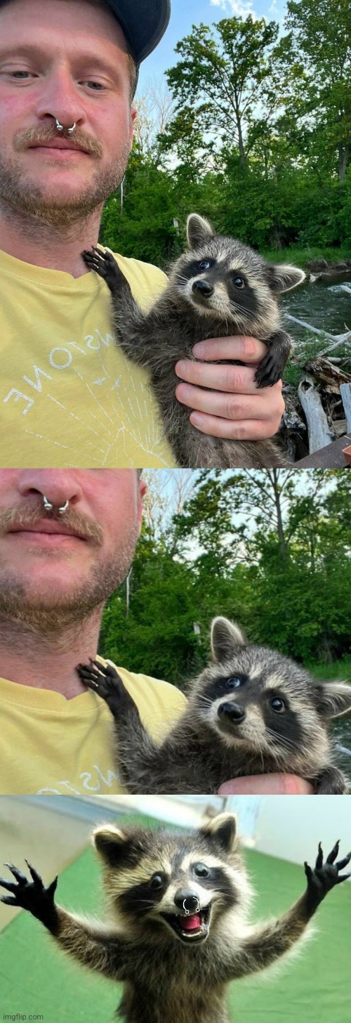Rocket | image tagged in man holding raccoon | made w/ Imgflip meme maker