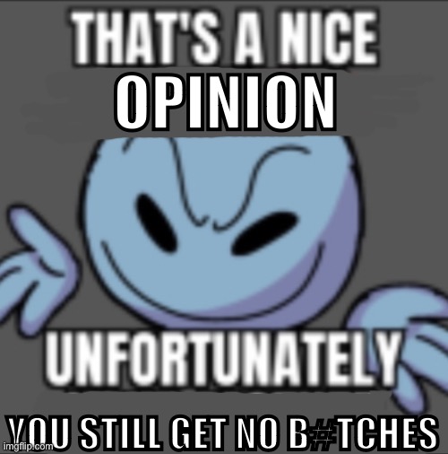 That’s a nick (blank) | OPINION; YOU STILL GET NO B#TCHES | image tagged in that s a nick blank | made w/ Imgflip meme maker
