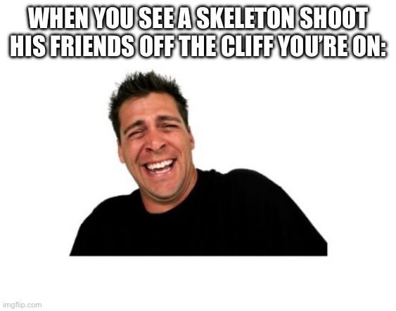 This is a cartoony moment for Minecraft mobs when it happens | WHEN YOU SEE A SKELETON SHOOT HIS FRIENDS OFF THE CLIFF YOU’RE ON: | image tagged in hysterical tom | made w/ Imgflip meme maker