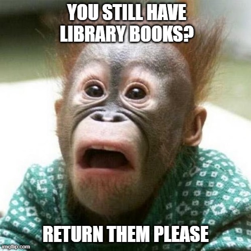 Shocked Monkey | YOU STILL HAVE LIBRARY BOOKS? RETURN THEM PLEASE | image tagged in shocked monkey | made w/ Imgflip meme maker