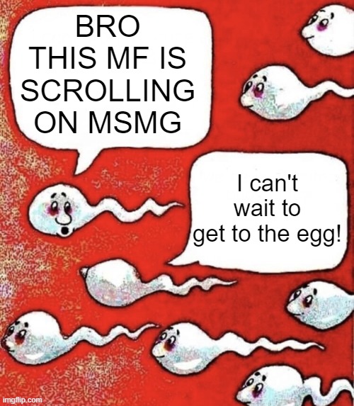 Sperm talk | BRO THIS MF IS SCROLLING ON MSMG; I can't wait to get to the egg! | image tagged in sperm talk | made w/ Imgflip meme maker