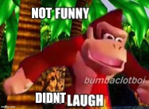 funny did laugh | NOT DIDNT | image tagged in funny did laugh | made w/ Imgflip meme maker