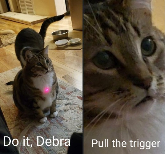 do it debra, pull the trigger | image tagged in do it debra pull the trigger | made w/ Imgflip meme maker