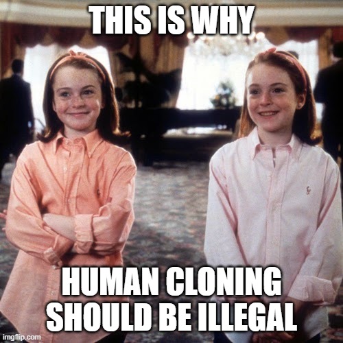 One Lindsay Lohan is bad enough | THIS IS WHY; HUMAN CLONING SHOULD BE ILLEGAL | image tagged in the parent trap,lindsay lohan,human cloning,illegal,disney | made w/ Imgflip meme maker