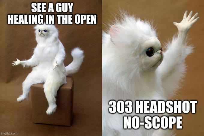 Persian Cat Room Guardian Meme | SEE A GUY HEALING IN THE OPEN; 303 HEADSHOT NO-SCOPE | image tagged in memes,persian cat room guardian | made w/ Imgflip meme maker