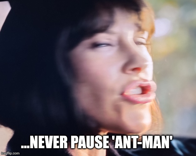 Never #2 | ...NEVER PAUSE 'ANT-MAN' | image tagged in ant man,marvel | made w/ Imgflip meme maker