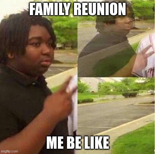 when u have a million billion jillion aunts | FAMILY REUNION; ME BE LIKE | image tagged in disappearing,introvert,family,hiding | made w/ Imgflip meme maker