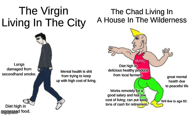 LIVING IN THE WILDERNESS IS VASTLY SUPERIOR | The Chad Living In A House In The Wilderness; The Virgin Living In The City; Lungs damaged from secondhand smoke. Diet high in delicious healthy produce from local farmers. Mental health is shit from trying to keep up with high cost of living. great mental health due to peaceful life; Works remotely for a good salary and has low cost of living; can put away tons of cash for retirement. Will live to age 92. Diet high in processed food. | image tagged in virgin vs chad,forest,health,mental health,city | made w/ Imgflip meme maker