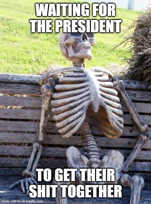 Waiting Skeleton | WAITING FOR THE PRESIDENT; TO GET THEIR SHIT TOGETHER | image tagged in memes,waiting skeleton | made w/ Imgflip meme maker
