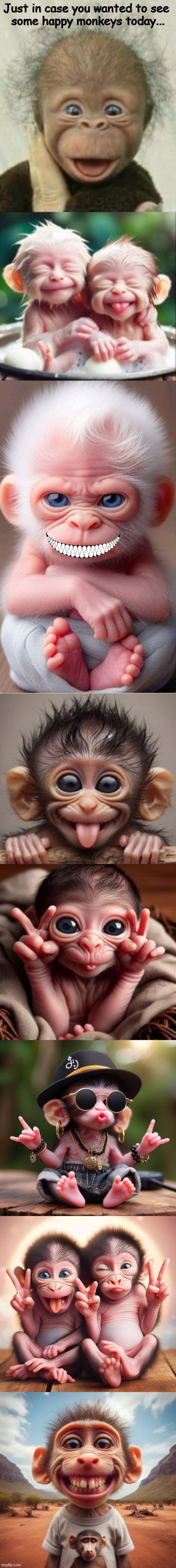 Monkey Business | Just in case you wanted to see 
some happy monkeys today... | image tagged in fun,cute animals,monkeys,funny,be happy,don't worry be happy | made w/ Imgflip meme maker