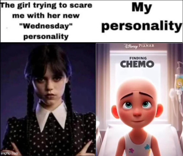 The girl trying to scare me with her new Wednesday personality | image tagged in the girl trying to scare me with her new wednesday personality | made w/ Imgflip meme maker