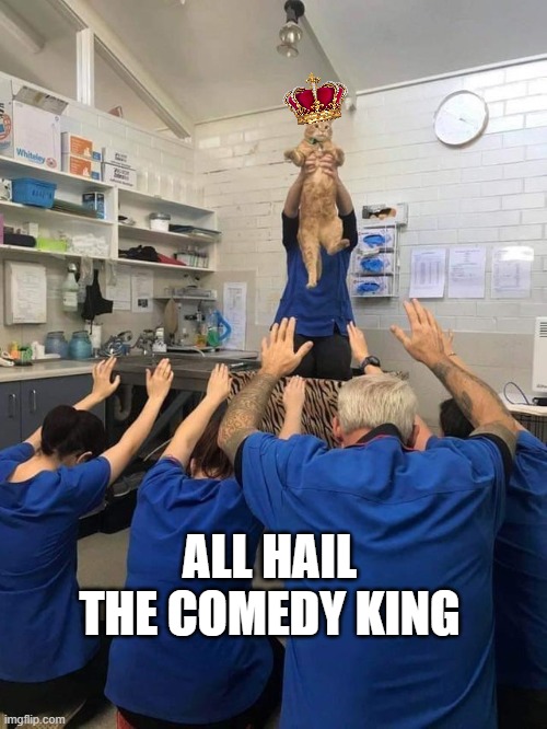 All Hail The Cat | ALL HAIL THE COMEDY KING | image tagged in all hail the cat | made w/ Imgflip meme maker