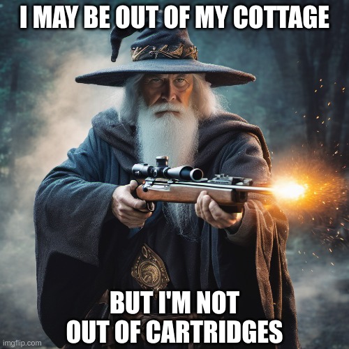 wizard with a rifle | I MAY BE OUT OF MY COTTAGE; BUT I'M NOT OUT OF CARTRIDGES | image tagged in wizard,rifle,gun | made w/ Imgflip meme maker