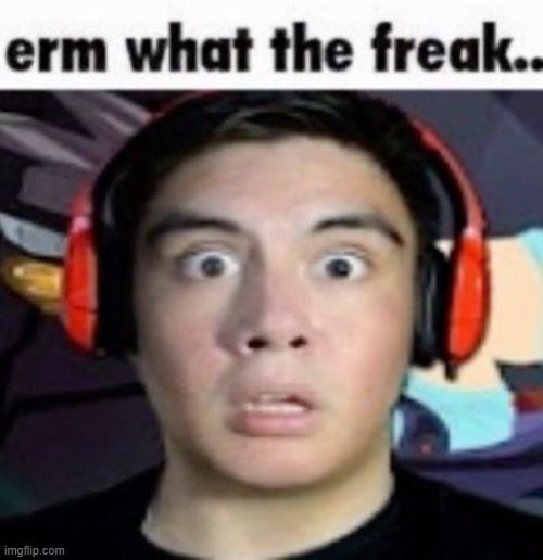 erm what the freak | image tagged in memes,funny,shitpost | made w/ Imgflip meme maker