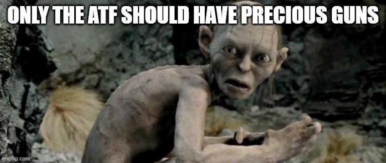 My Precious | ONLY THE ATF SHOULD HAVE PRECIOUS GUNS | image tagged in my precious | made w/ Imgflip meme maker