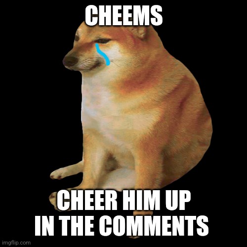 He is sad | CHEEMS; CHEER HIM UP IN THE COMMENTS | image tagged in cheems | made w/ Imgflip meme maker