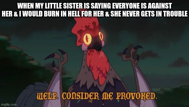 seriously child? you have no idea how much I love you | WHEN MY LITTLE SISTER IS SAYING EVERYONE IS AGAINST HER & I WOULD BURN IN HELL FOR HER & SHE NEVER GETS IN TROUBLE | image tagged in consider me provoked,sister | made w/ Imgflip meme maker