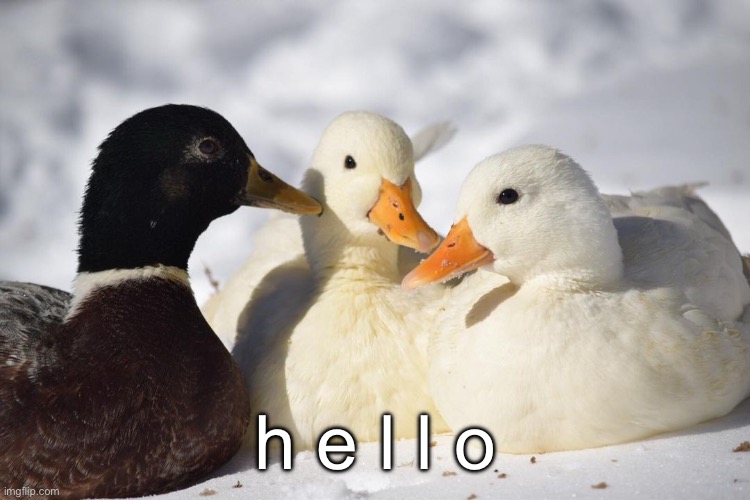 :) | h e l l o | image tagged in dunkin ducks | made w/ Imgflip meme maker