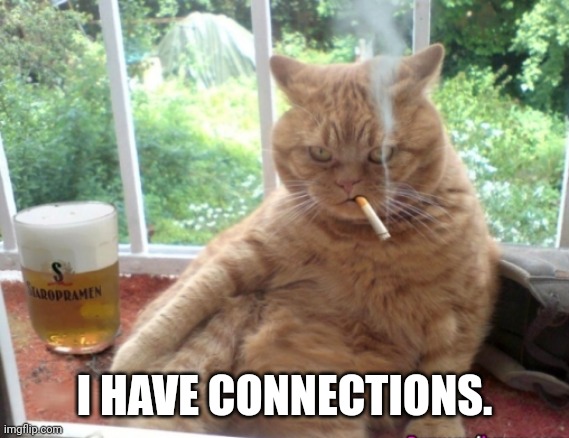 MOB BOSS CAT | I HAVE CONNECTIONS. | image tagged in mob boss cat | made w/ Imgflip meme maker